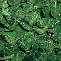 Lasagnes aux �pinards